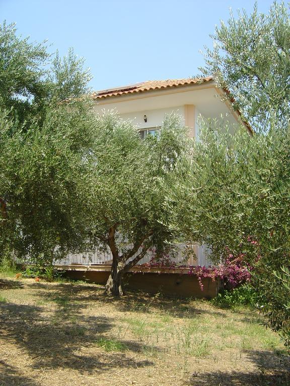Eleni Houses Kómboi المظهر الخارجي الصورة